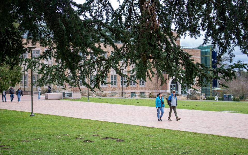 Students crossing a campus lawn beneath a large tree